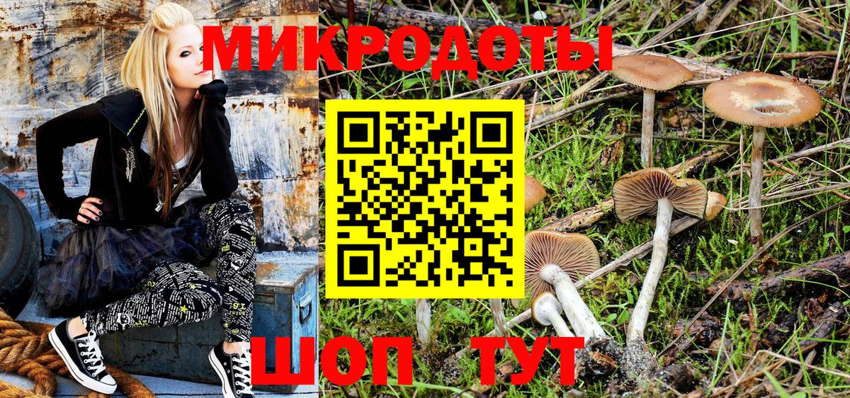 Галлюциногенные грибы мицелий Михайловка