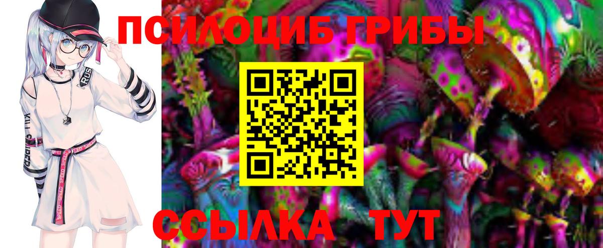 дарнет шоп  Вход с VPN  Михайловка  Псилоцибиновые грибы GOLDEN TEACHER 