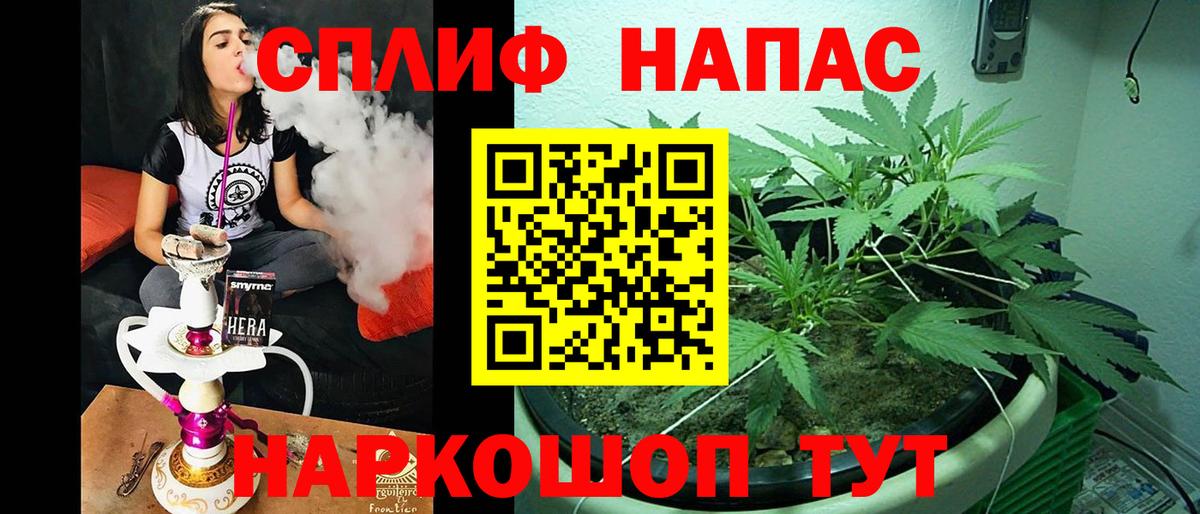 Бошки марихуана THC 21% Михайловка